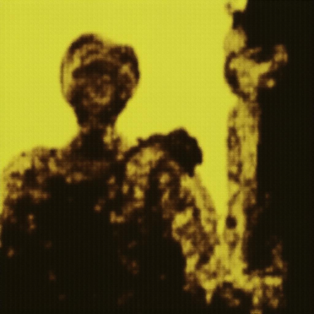 Image 28