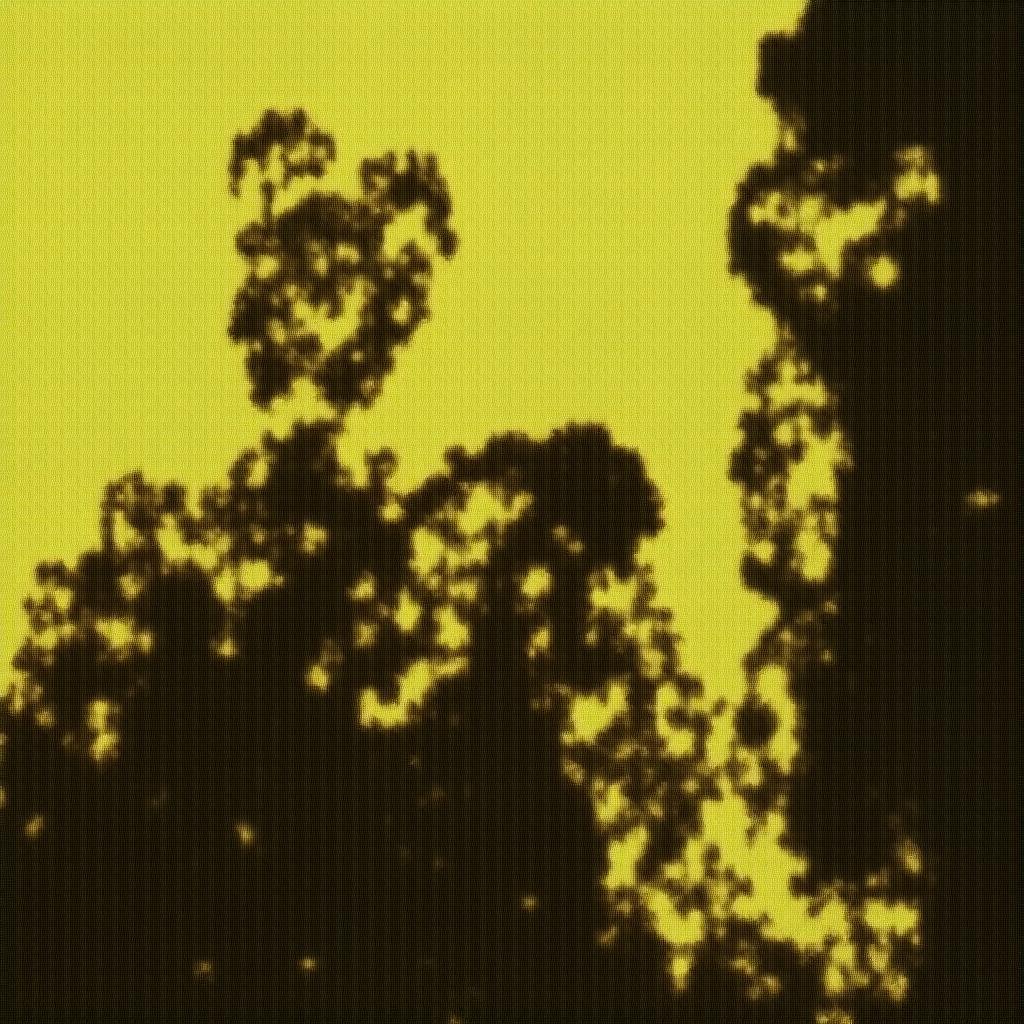 Image 29