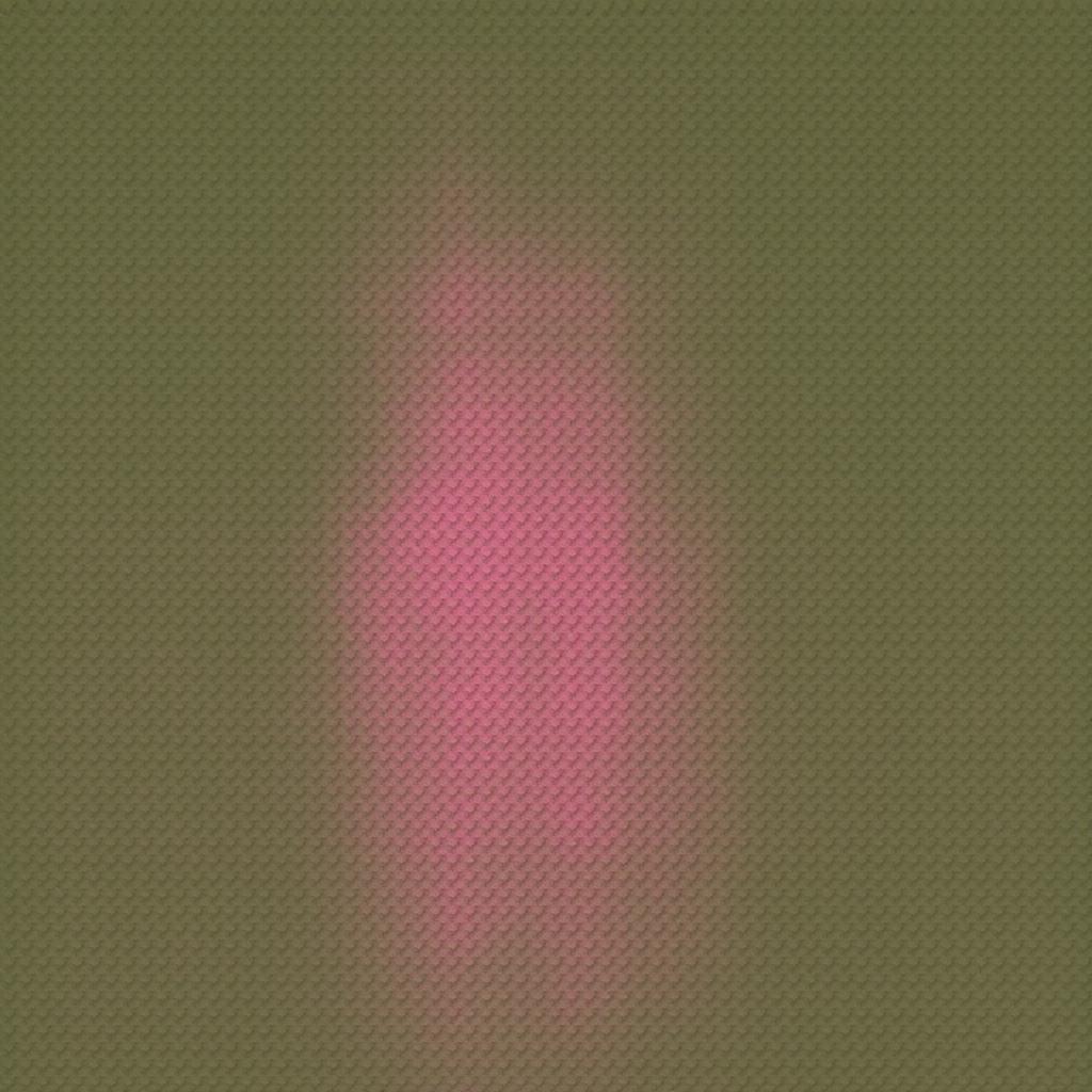 Image 170