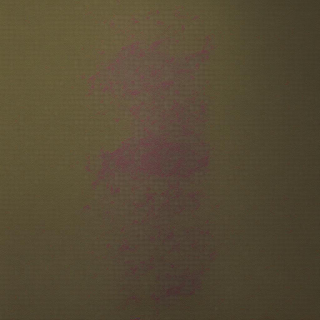 Image 306