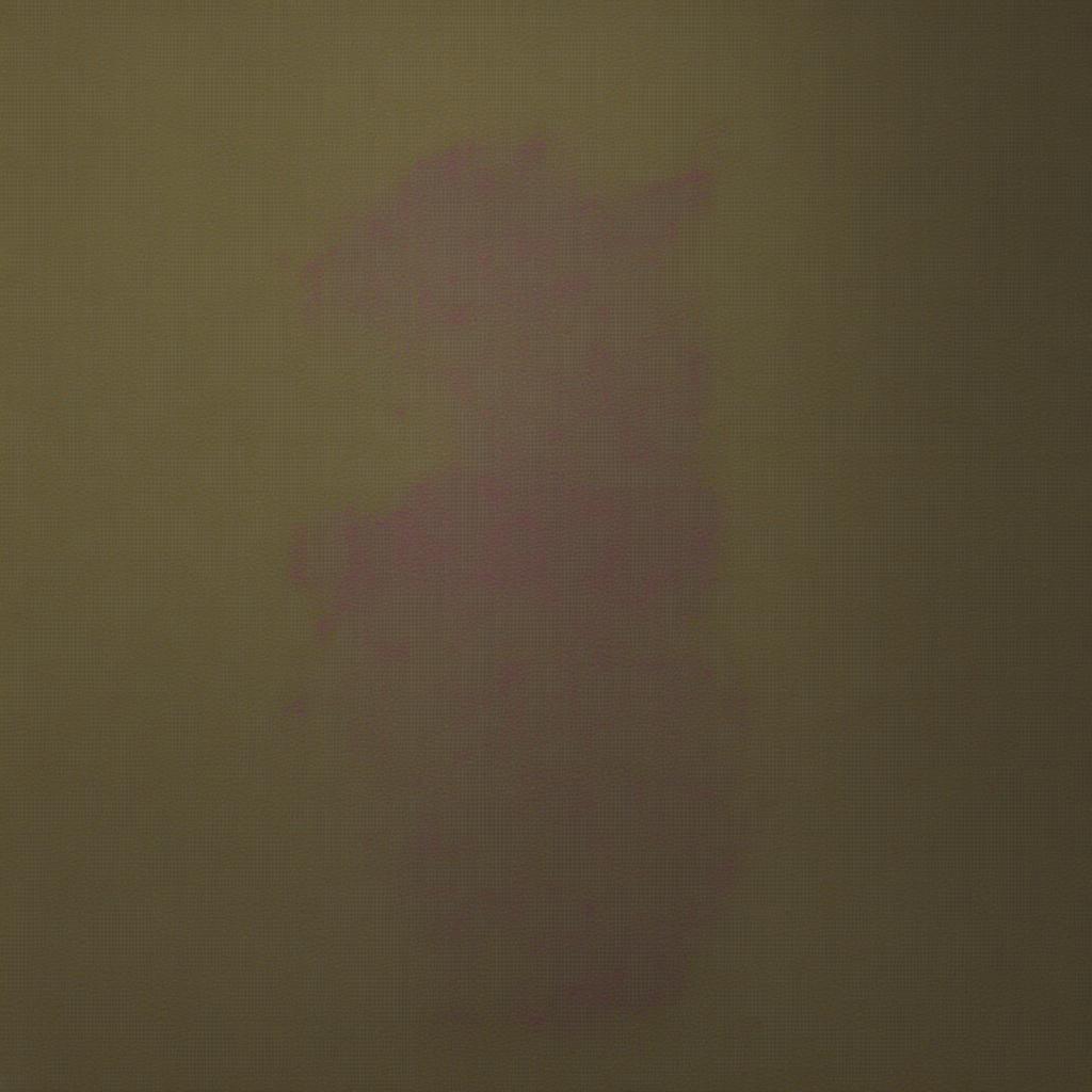 Image 307