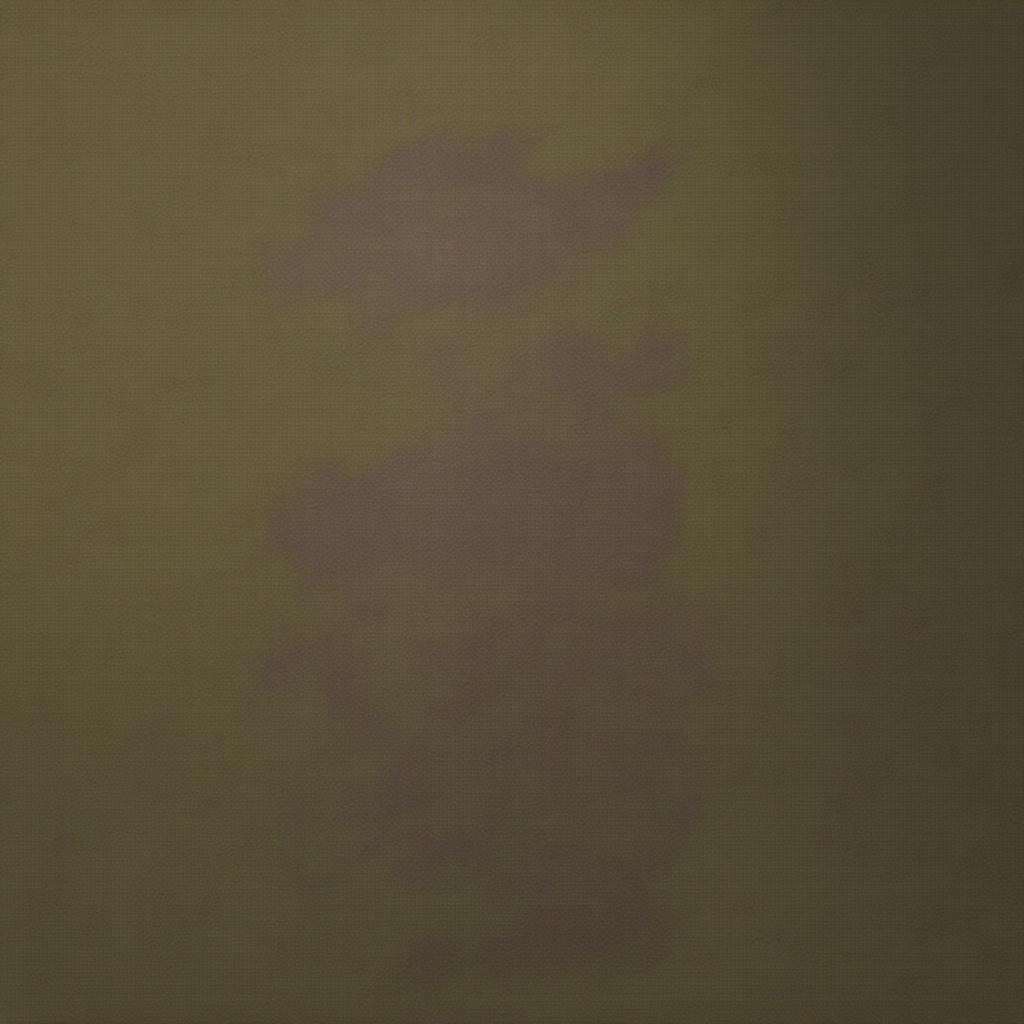 Image 308